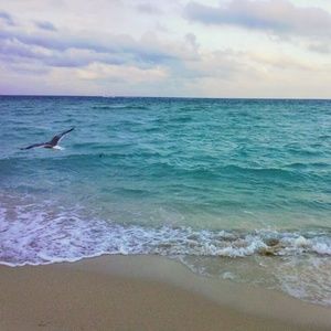 Meet your Posher, Elizet